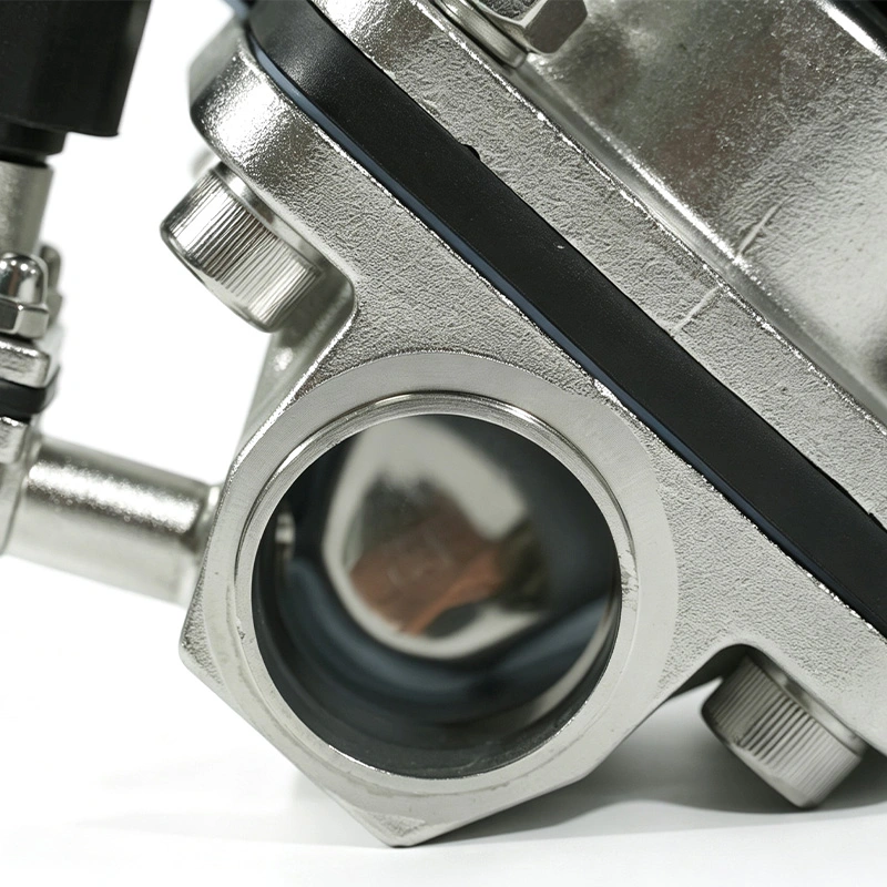 Sanitary GMP two-way diaphragm valve with Access Port